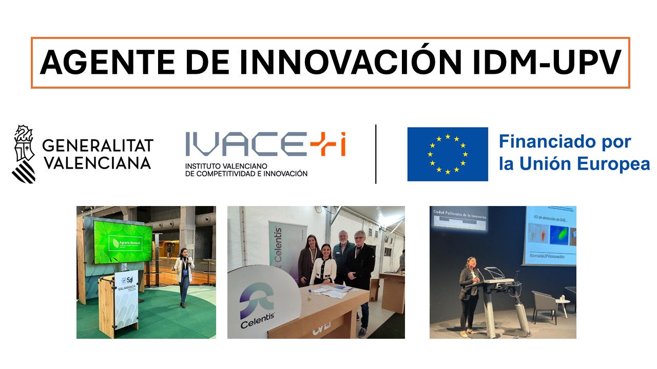 Outstanding Results of the Innovation Agent’s Work at IDM